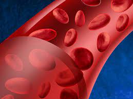 anemia procrit